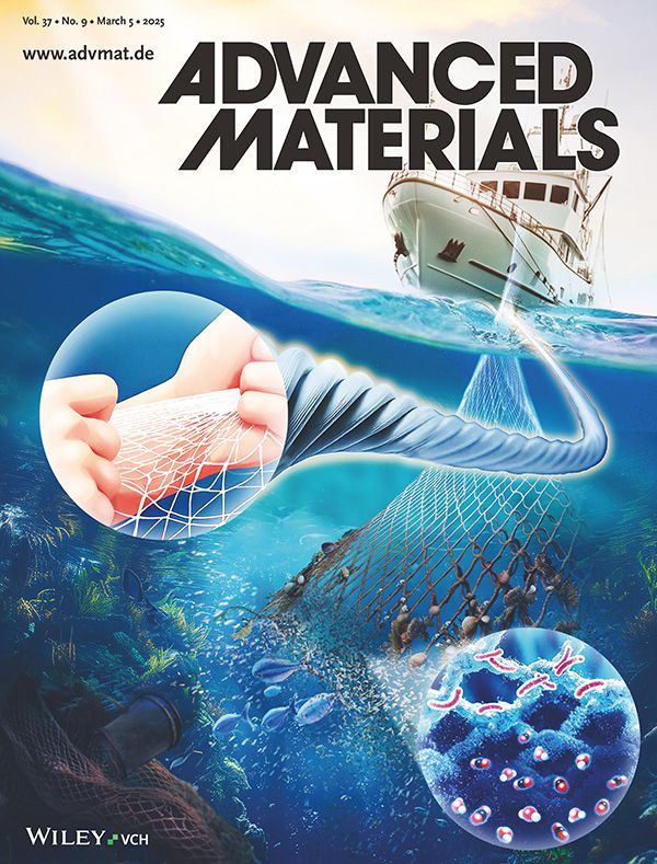 이번 연구성과가 게재된 국제학술지 ‘어드밴스드 머티리얼즈’ 표지.[한국화학연구원 제공]