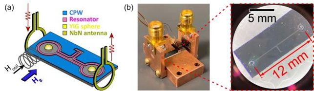 초전도 회로 기반 마그논-광자 하이브리드 시스템.[KAIST 제공]