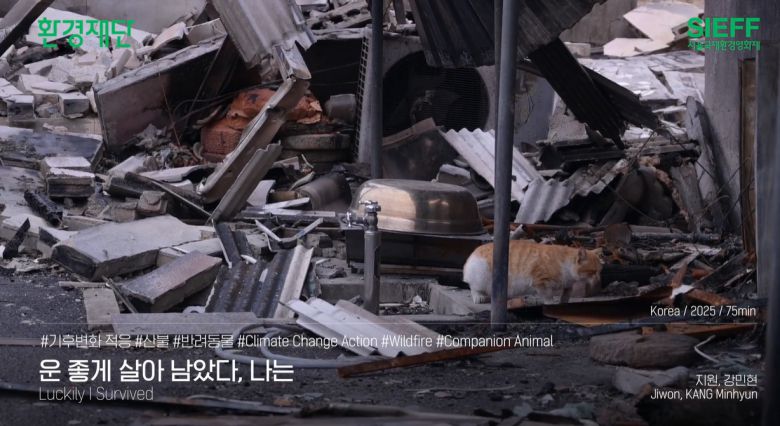 제22회 서울국제환경영화제 상영작 소개 영상 갈무리.[환경재단 제공]