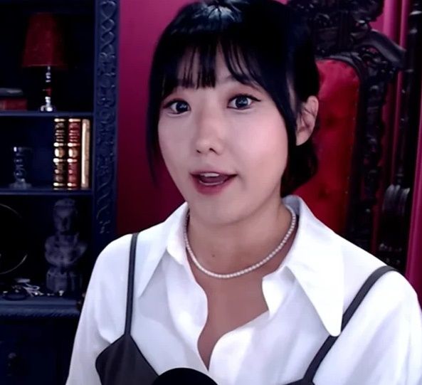 257만 구독자를 보유한 유튜버 디바제시카