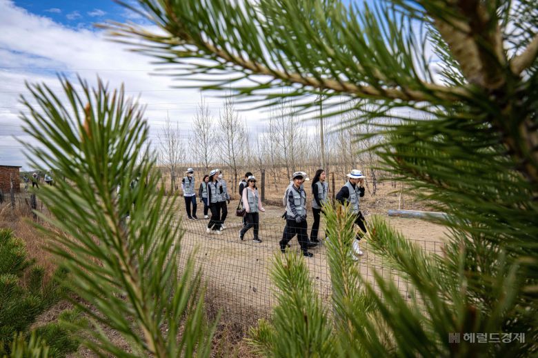 대한항공과 아시아나항공 임직원들이 지난 20일 몽골 울란바타르시 바가노르구에 위치한 대한항공 숲에서 식림 활동을 하고 있다. 바가노르(몽골)=임세준 기자