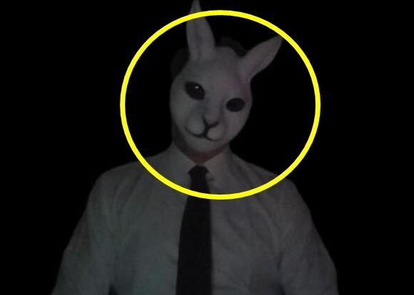 유튜버 전투토끼