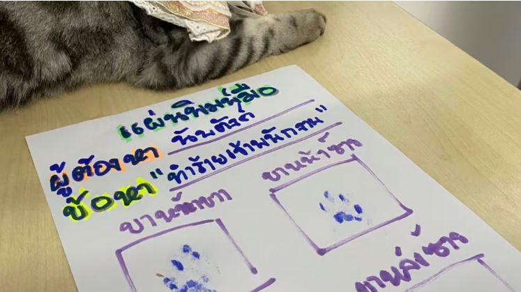 경찰관을 공격해 체포된 고양이가 자신의 발바닥 도장 옆에 누워 있다. [페이스북]