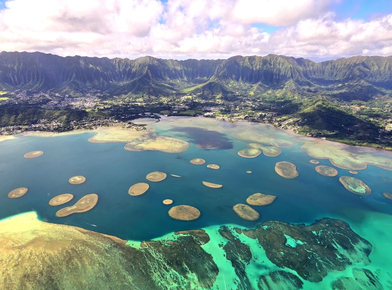 헬기에서 보면 하와이 바다가 그냥 바다가 아니다. 다채롭고 역동적이며 파란만장하다.