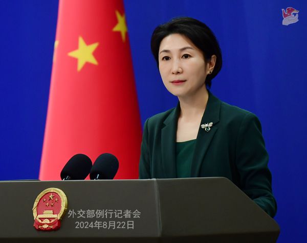 마오닝 중국 외교부 대변인. [중국 외교부 홈페이지 캡처]