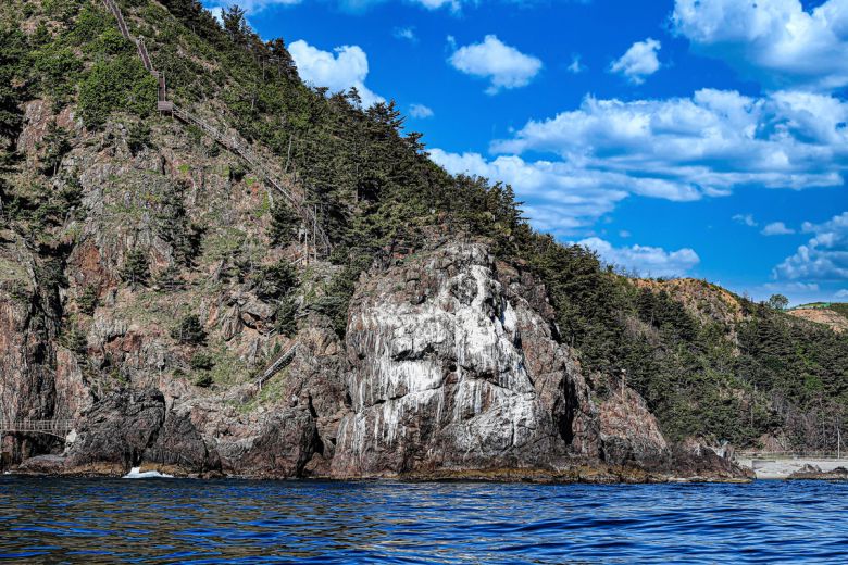 갈매기똥 바위[울진군 제공]
