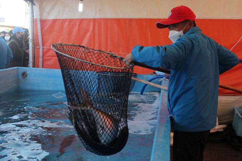 제주 방어. [뉴시스]