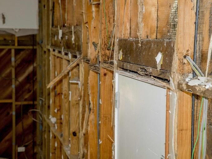 흰개미가 갉아먹어 파괴된 가정집 내벽. [오스트리아뉴스닷컴]