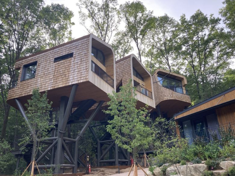 수락휴 트리하우스 모습. 손인규 기자