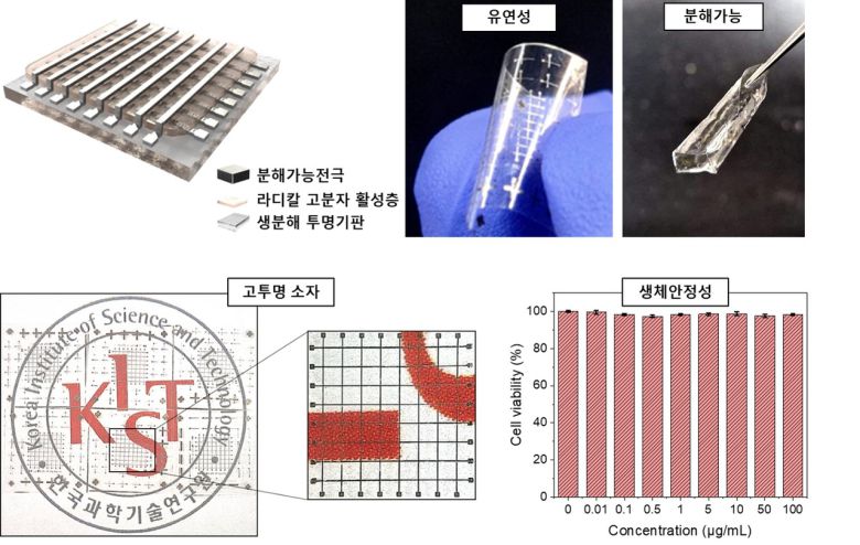 완벽히 사라지는 생채적합형 친환경 고성능 메모리 소자.[KIST 제공]