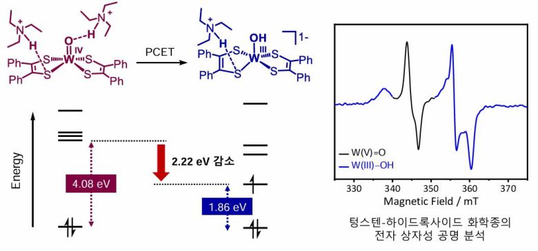 수소결합에 의한 분자 궤도 에너지 준위 감소 현상(왼쪽)과 전자상자성공명(EPR) 분석에 의해 생성이 최초로 관찰된 텅스텐-하이드록사이드 화학종(오른쪽).[GIST 제공]