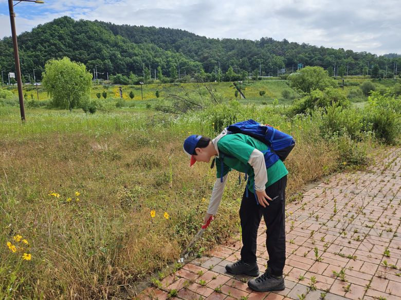 14일 강원도 영월에서 클린하이커스가 주최해 열린 ‘제1회 쓰레기줍기대회’에 참가한 이다온(13) 씨가 쓰레기를 줍고 있다. 김광우 기자.