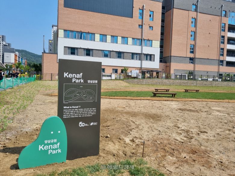 서울 강남구 개포동 일대. 개포주공1단지 재건축 조합이 기부채납한 체육시설 부지. 현재 공기정화 식물인 ‘양삼’을 심은 양삼공원으로 활용되고 있다. [사진=박로명 기자/dodo@heraldcorp.com]