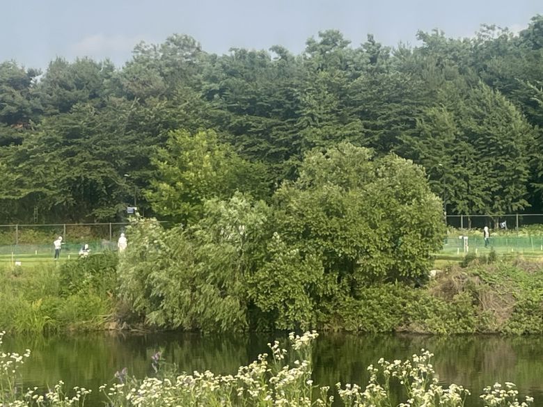 탄천파크골프장. 박병국 기자