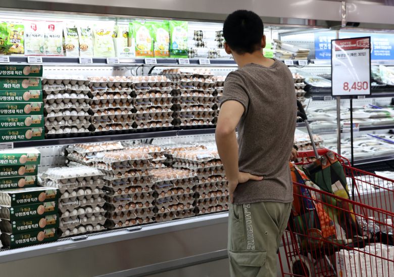 계란값이 4년 만에 최고치로 뛰면서 대형마트들도 비상이 걸렸다. 계란이 장바구니 물가 대표 품목인 만큼 납품가가 10∼20% 올랐음에도 이윤을 줄이면서 소비자 가격을 8천원 미만으로 유지하기 위해 최대한 인상을 막기로 했다. 사진은 22일 서울의 한 대형마트. <연합뉴스>