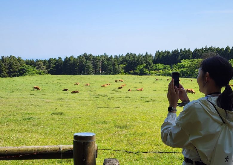 제주 물영오름 입구 소목장