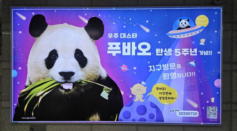 푸바오 다섯번째 생일 기념 전광판 광고가 대전역에 걸렸다. 앞으로 한달여 이어진다.[푸바오갤러리 제공]