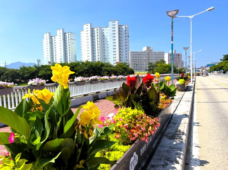 상주시가 폭염에 지친 시민을 위해 조성한 도심 속 열대풍 거리화단이 호응을 얻고 있다[상주시 제공]