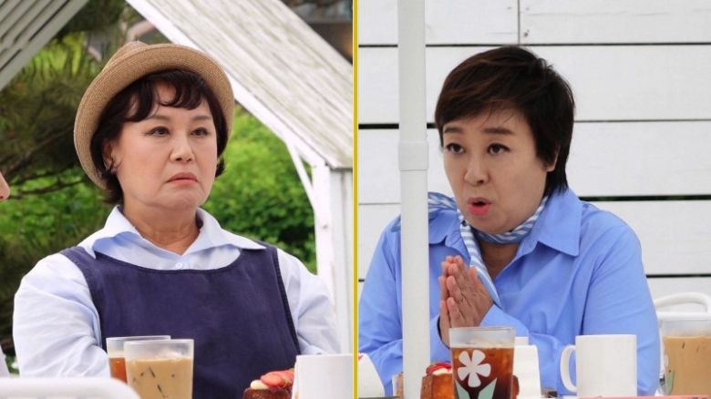 같이 삽시다