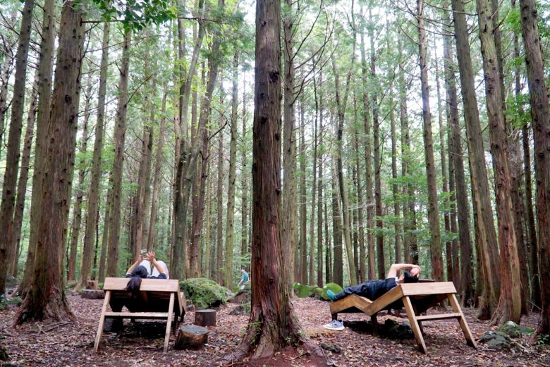 서귀포치유의 숲 [함영훈 기자]