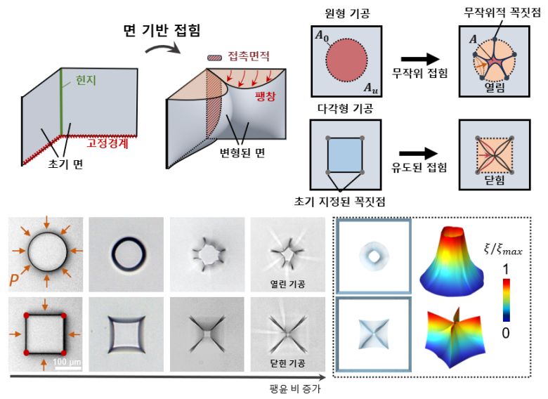 하이드로젤 미세 기공의 변형 메커니즘 모식도 및 실험·시뮬레이션 결과.[서울과학기술대학교 제공]