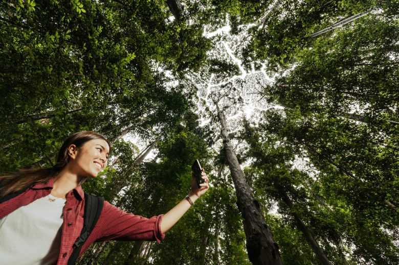 말레이시아 FRIM 셀랑고르 포레스트 파크