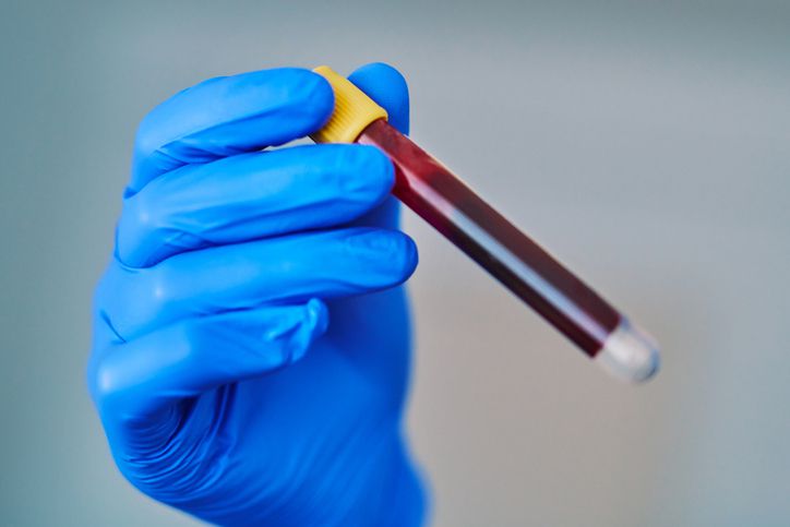 [게티이미지뱅크]