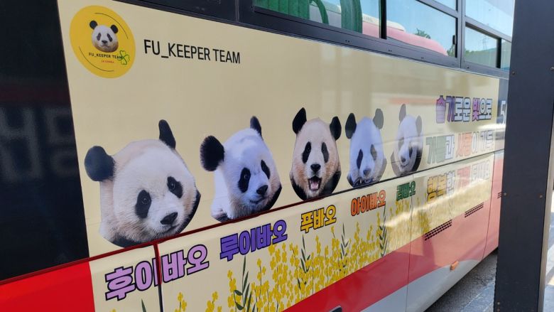 푸바오 생일 기념 에버랜드로 가는 5002A, 5002B 버스 광고[푸키퍼팀 제공]