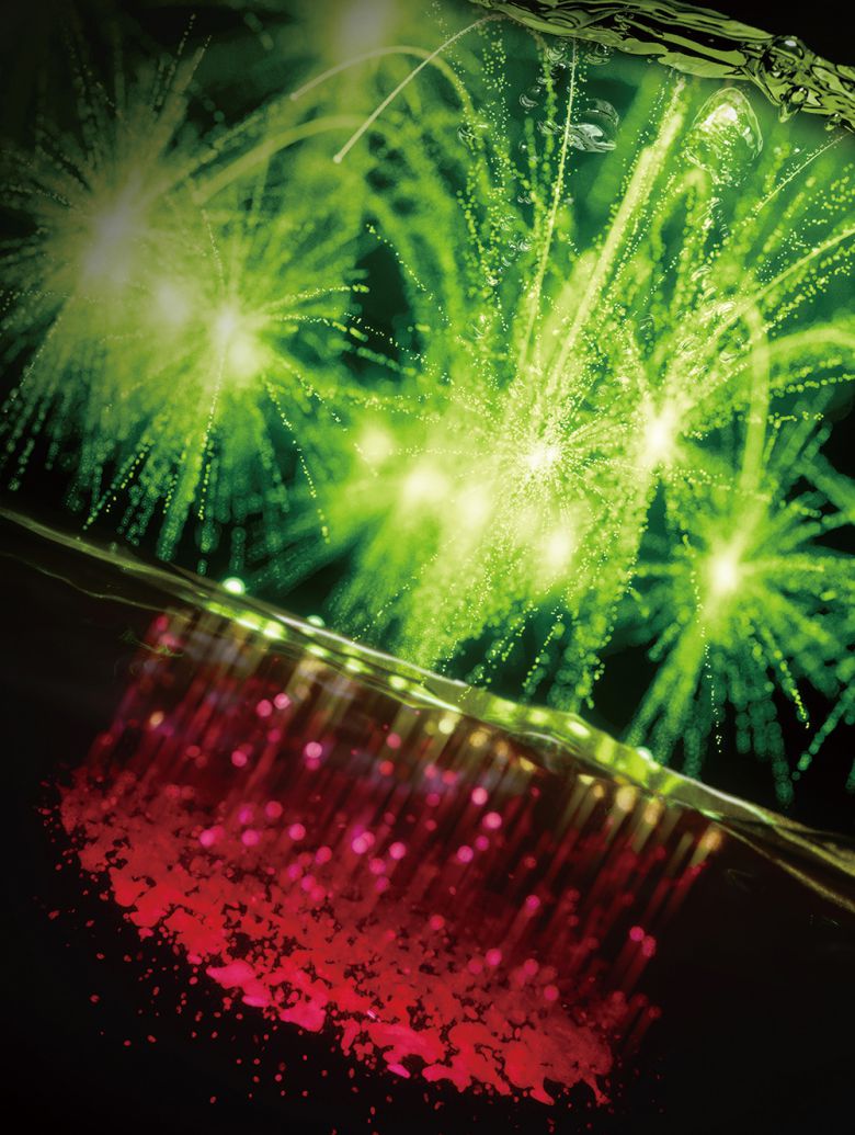 Nature Biomedical Engineering 7월호 (Vol.9 No.7) 표지로 게재된 BLOOM 시스템