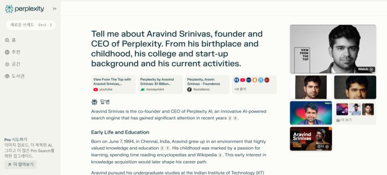 퍼플렉시티 검색 화면 캡처