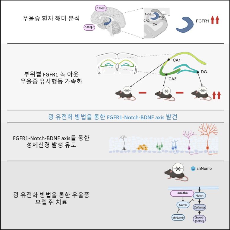 연구 내용 시각화 요약. [KAIST 제공]
