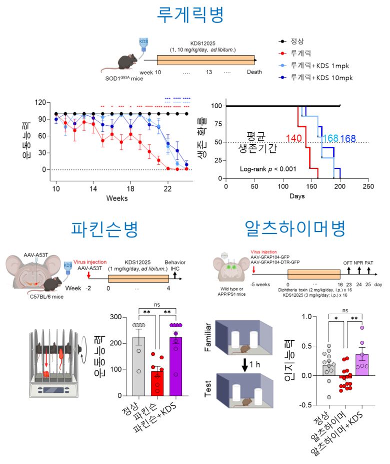 이번 연구결과 모식도.[IBS 제공]