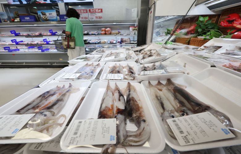 서울의 한 대형 마트에 오징어가 진열되어 있다.[연합]