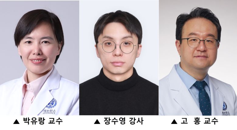 박유랑(왼쪽부터) 연세대 의대 의생명시스템정보학교실 교수, 장수영 강사, 고홍 세브란스 어린이병원 소아소화기영양과 교수