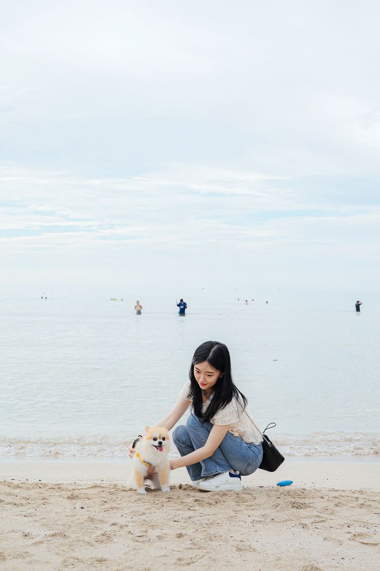 함도그비치서 댕댕이도 힐링~