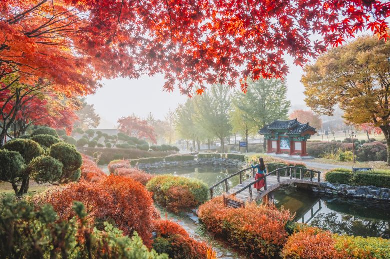 가을이 깊어지면 배론성지의 단풍의 더욱 붉어진다[제천시 제공]