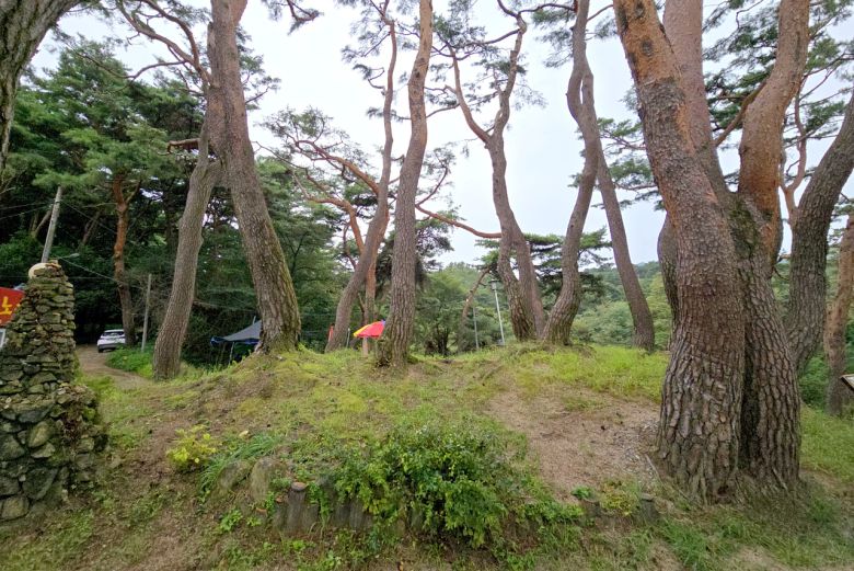 평지로부터 높이 2m도 안 되는 의림지 호변의 산, 신털이봉