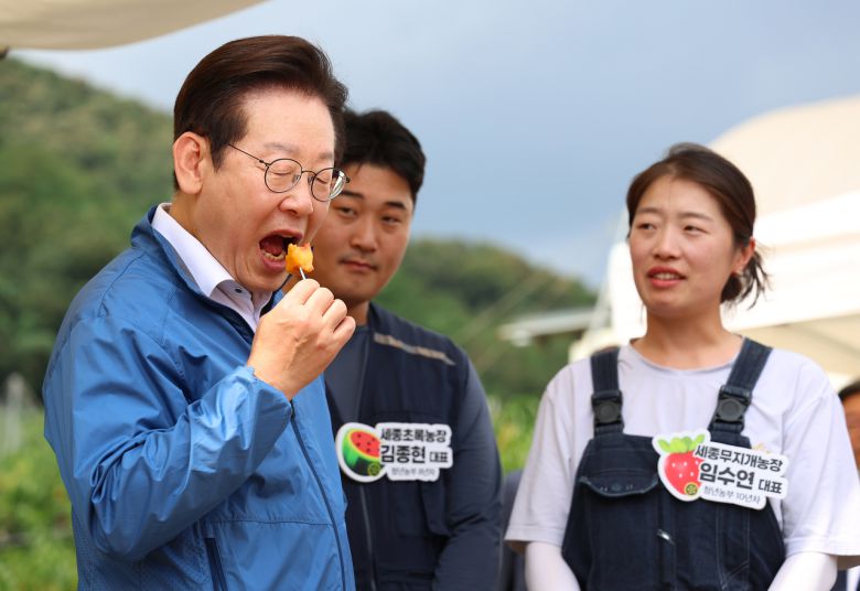 이재명 대통령이 16일 세종시 전동면 조일농원에서 열린 청년 농업인 간담회에서 과일을 먹고 있다. [연합]