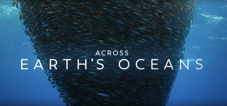 [넷플릭스 홈페이지 갈무리]