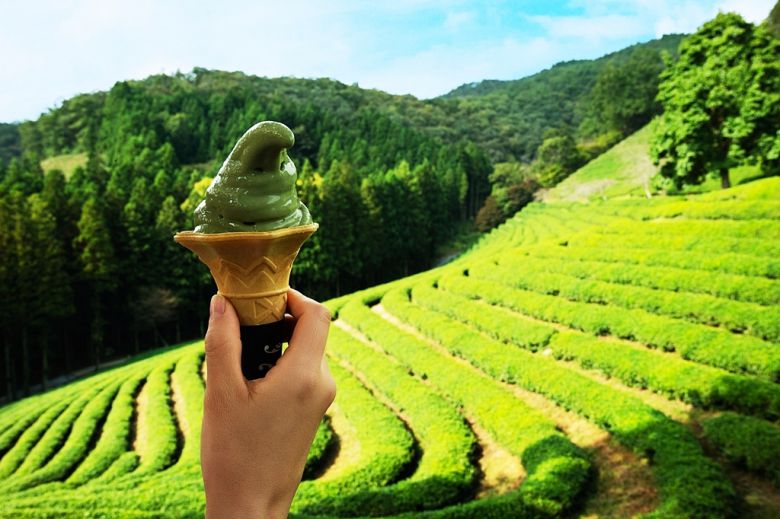 한국형 아이스크림