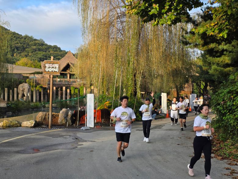 ‘갤럭시 워치런 @사파리’ 참가자들이 로스트밸리 코스에서 동물과 함께 러닝을 즐기는 모습 [삼성전자 제공]