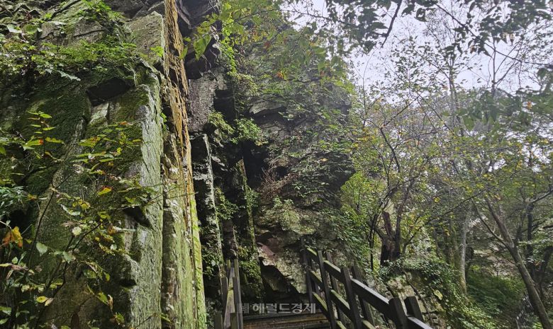 봉황대 정상으로 가는 길