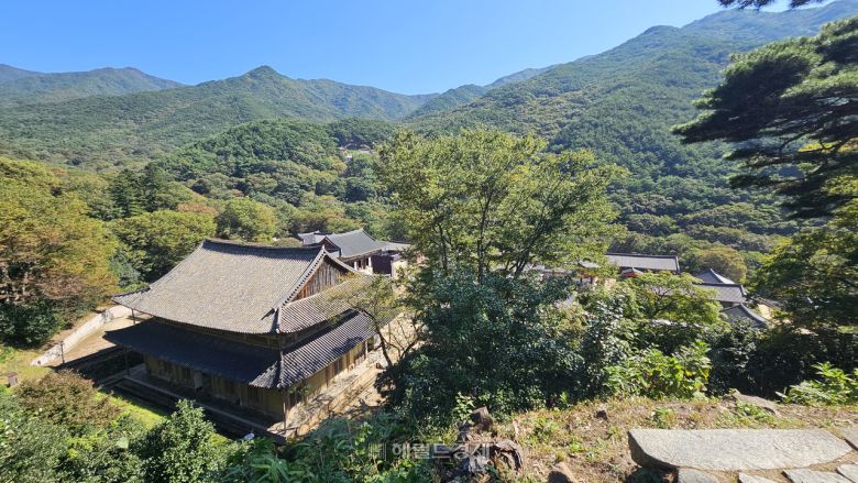 4사자 삼층 석탑이 있는 효대에서 바라본 화엄사