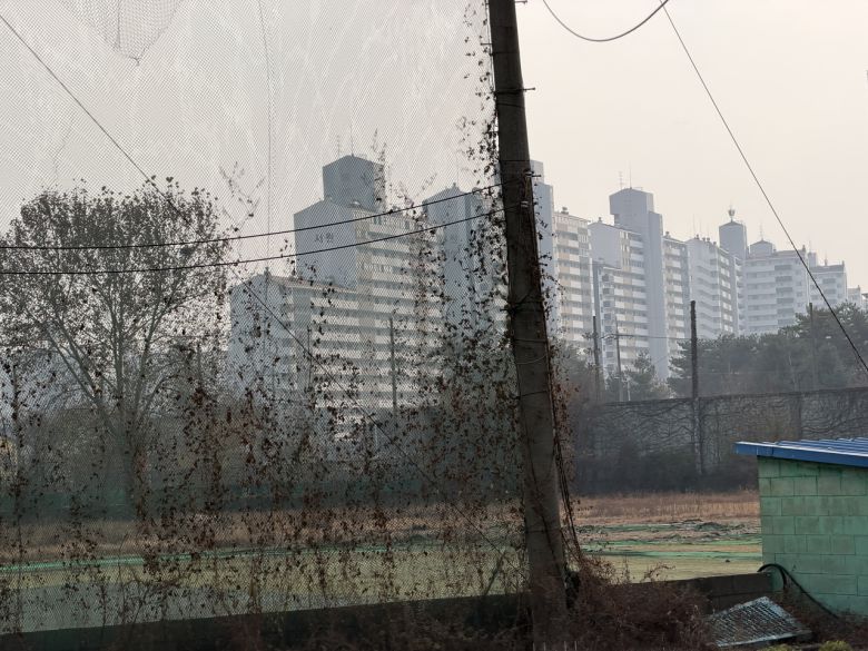 오랜시간 방치돼온 성균관대 야구장 부지의 모습. 윤성현 기자