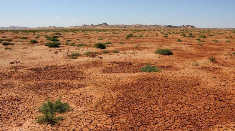 건조하고 추운 몽골 초원 모습.[PETA 홈페이지 갈무리]