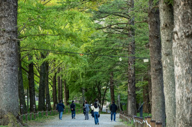 금산 보석사 가는길