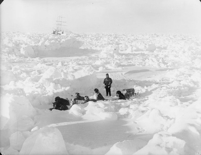 탐험대와 썰매견, 뒤에서 보이는 인듀어런스호, 1915, 영국 그리니치 국립해양박물관