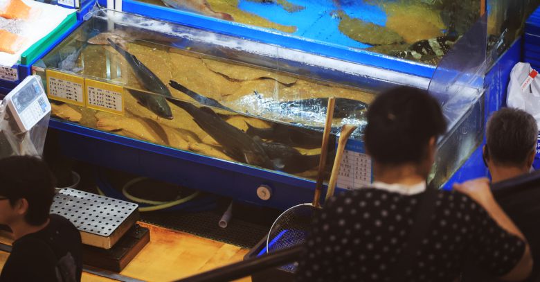 서울 노량진 수산시장에서 시민들이 광어, 우럭 등 활어를 살펴보고 있다.[연합]