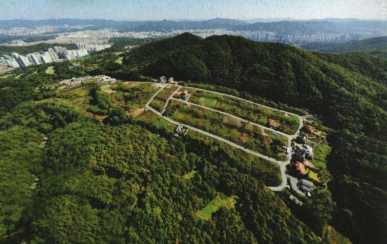 성남구 분당구 남서울파크힐 단지 내 한 단독주택의 모습. [독자 제공]