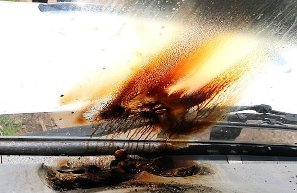 라이터 폭발로 운전석 대시보드와 차량 앞 유리창 일부에 불에 타 그을린 모습.[제주동부소방서 제공]